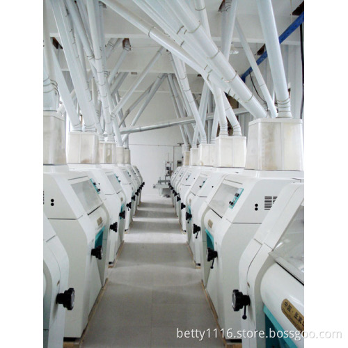 6FTP-70 type wheat flour milling equipment